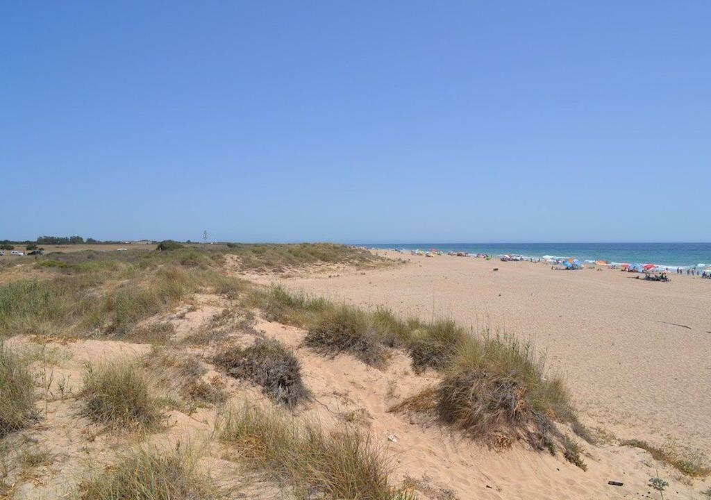 Chozito De Paja A 300M. Playa Mangueta El Palmar (Andalucia) Exterior foto